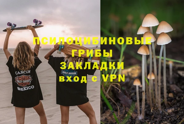 крисы Богородицк