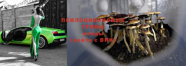 гашиш Беломорск